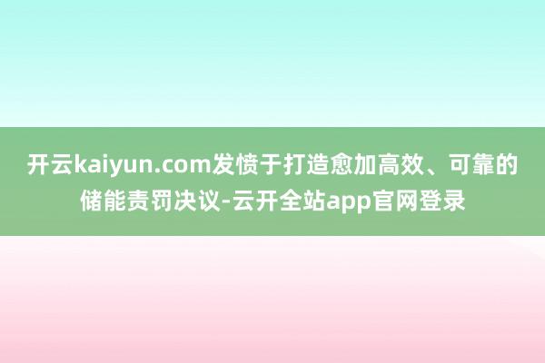 开云kaiyun.com发愤于打造愈加高效、可靠的储能责罚决议-云开全站app官网登录