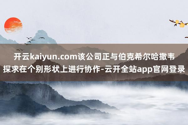 开云kaiyun.com该公司正与伯克希尔哈撒韦探求在个别形状上进行协作-云开全站app官网登录
