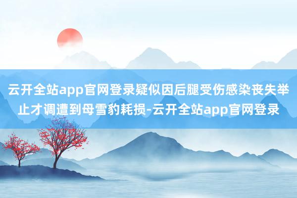 云开全站app官网登录疑似因后腿受伤感染丧失举止才调遭到母雪豹耗损-云开全站app官网登录