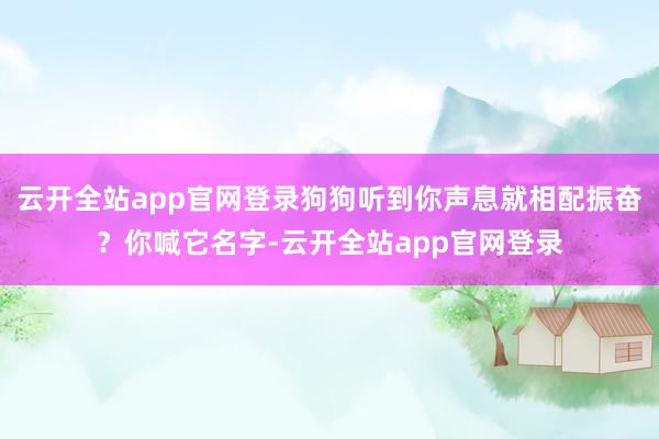 云开全站app官网登录狗狗听到你声息就相配振奋？你喊它名字-云开全站app官网登录