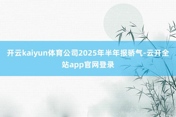 开云kaiyun体育公司2025年半年报骄气-云开全站app官网登录