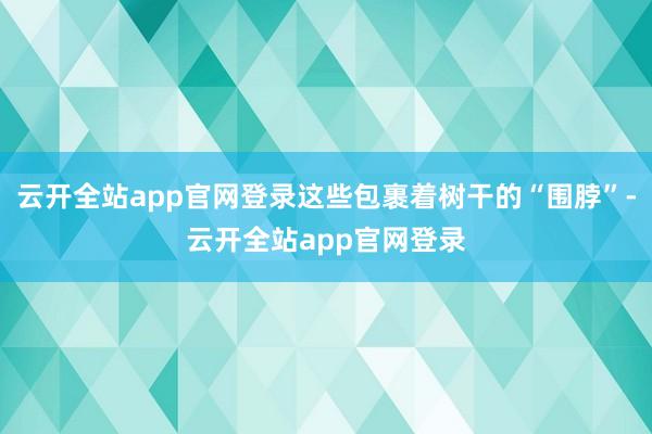 云开全站app官网登录这些包裹着树干的“围脖”-云开全站app官网登录
