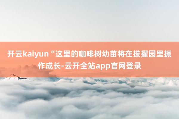 开云kaiyun“这里的咖啡树幼苗将在拔擢园里振作成长-云开全站app官网登录